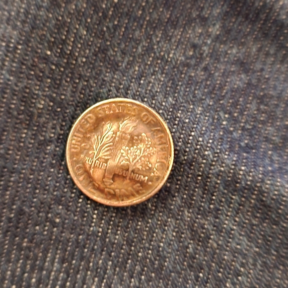 Dime - Picture 12 of 13